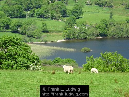 Manorhamilton Road